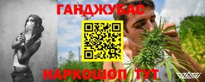 гашик Новодвинск
