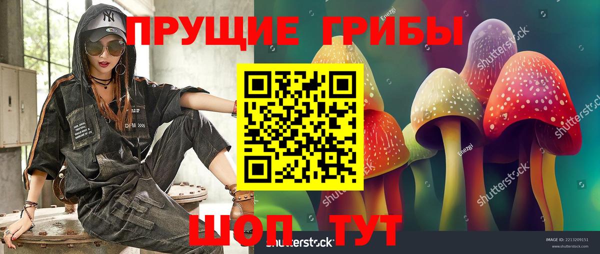 Псилоцибиновые грибы ЛСД  цены   Вход с VPN  Сызрань  Псилоцибиновые грибы GOLDEN TEACHER 